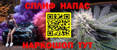 гидра Будённовск