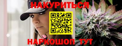 гидра Будённовск