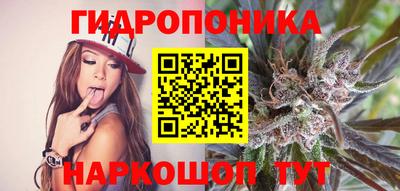гидра Будённовск