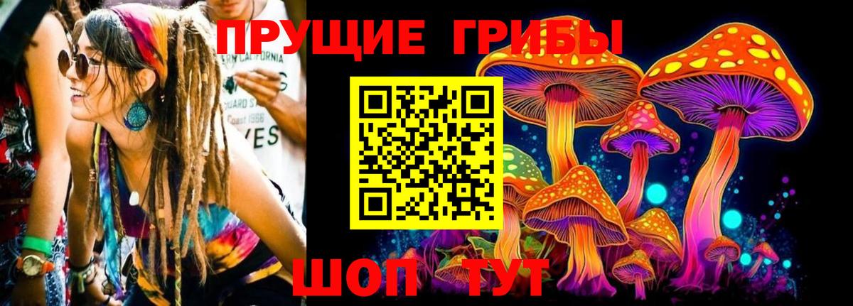 Нижний Тагил  Псилоцибиновые грибы Cubensis  Вход с VPN 