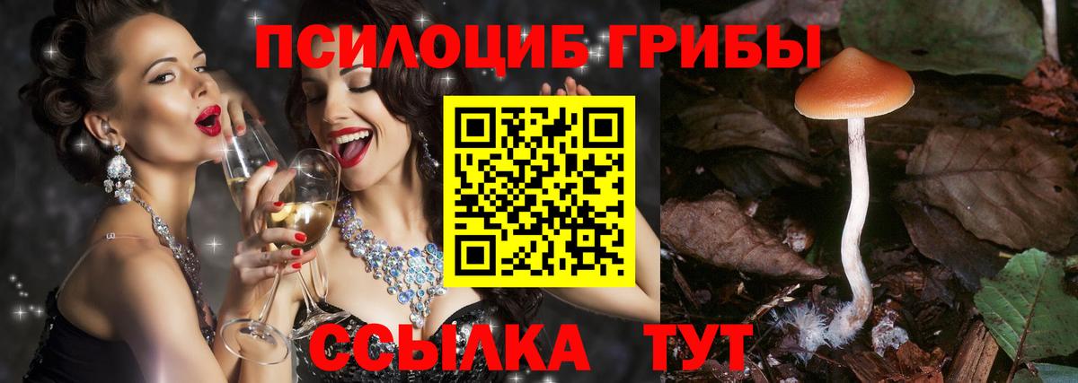 Alpha PVP Нижний Тагил